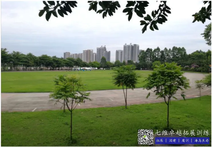 篮球训练的感悟心得体会怎么写三年级_0